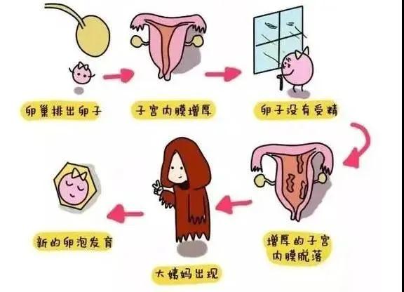 深圳东门检查不孕不育去哪家医院好呢