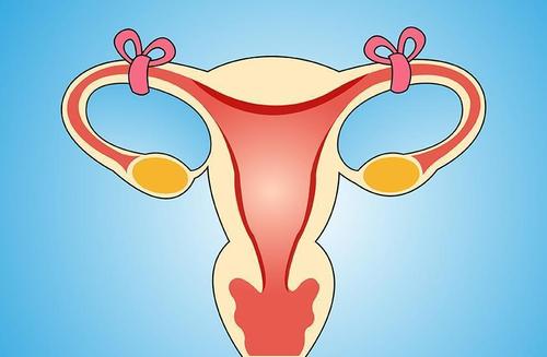 输卵管堵塞性不孕症怎么治疗