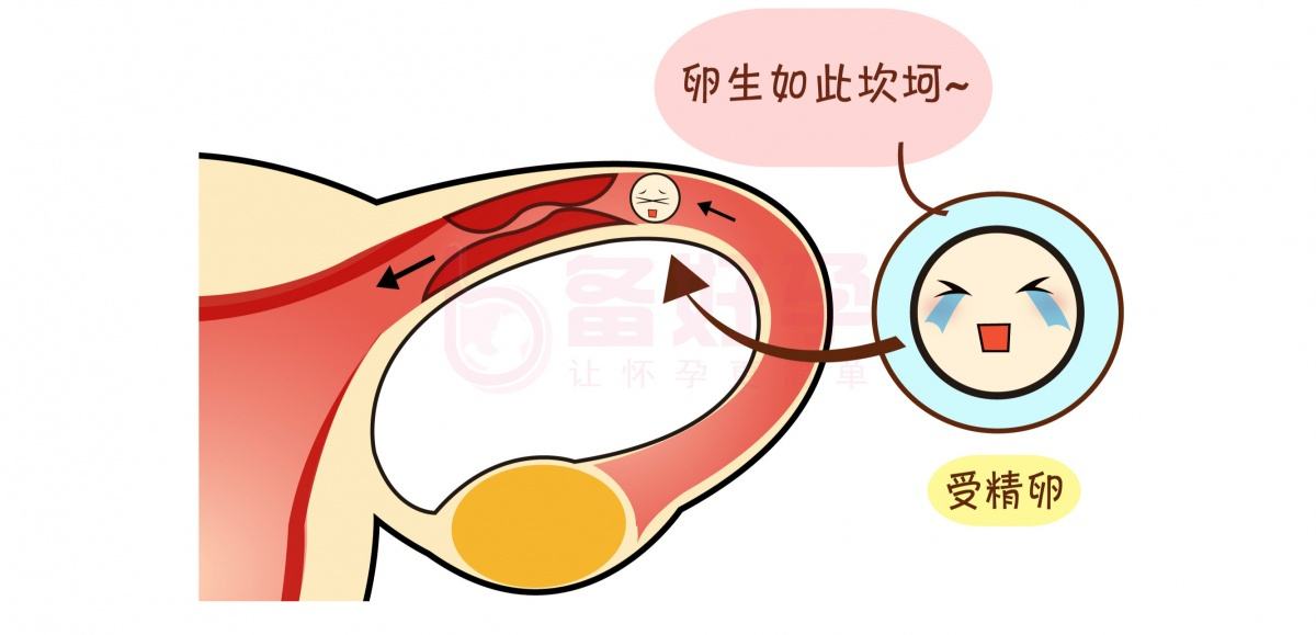 怎么知道排卵是否正常?深圳不孕不育医院去哪里看