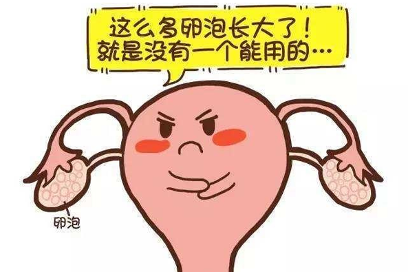 卵泡发育不良会有什么症状表现